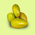 Plant de tomate cerise 'Green tiger' - Solanum lycopersicum Green tiger